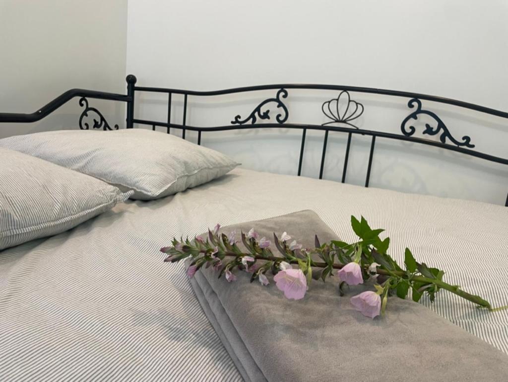 7 Rayons Villa Авиньон Екстериор снимка